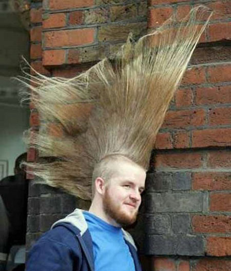 Crazy Hairstyles Funny Haircuts Loshairos Com