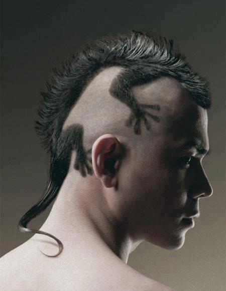 hairstyle with lizard